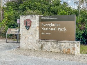 Everglades, prachtige natuur in de omgeving van Miami